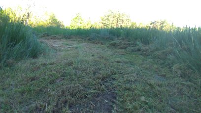 El Smart Artificial City lobo y la grulla contribuyente